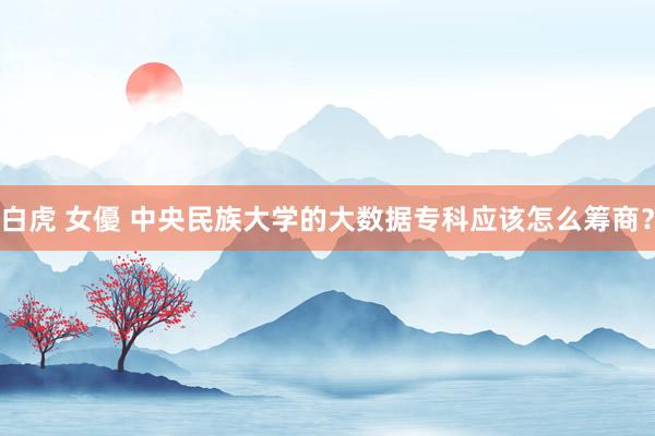 白虎 女優 中央民族大学的大数据专科应该怎么筹商？