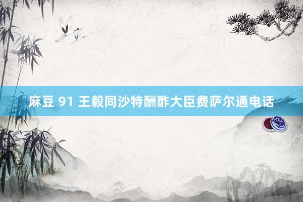 麻豆 91 王毅同沙特酬酢大臣费萨尔通电话