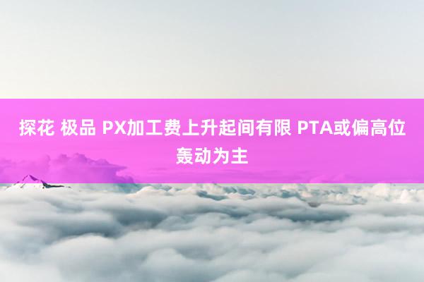 探花 极品 PX加工费上升起间有限 PTA或偏高位轰动为主
