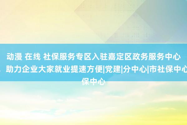 动漫 在线 社保服务专区入驻嘉定区政务服务中心，助力企业大家就业提速方便|党建|分中心|市社保中心