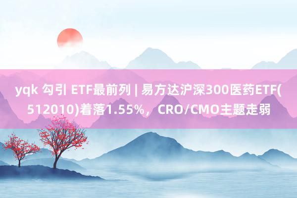 yqk 勾引 ETF最前列 | 易方达沪深300医药ETF(512010)着落1.55%，CRO/CMO主题走弱