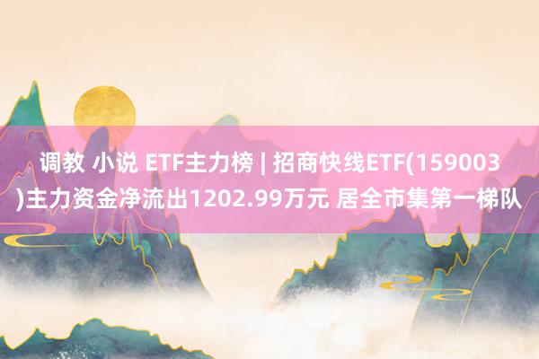 调教 小说 ETF主力榜 | 招商快线ETF(159003)主力资金净流出1202.99万元 居全市集第一梯队