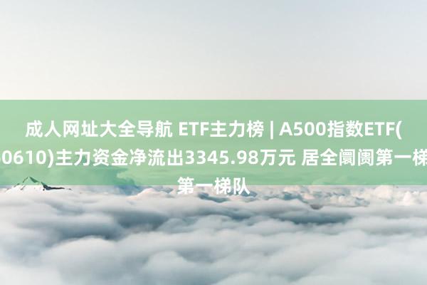 成人网址大全导航 ETF主力榜 | A500指数ETF(560610)主力资金净流出3345.98万元 居全阛阓第一梯队