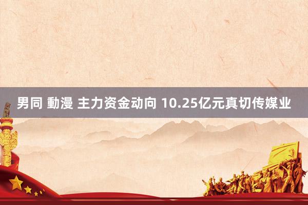 男同 動漫 主力资金动向 10.25亿元真切传媒业