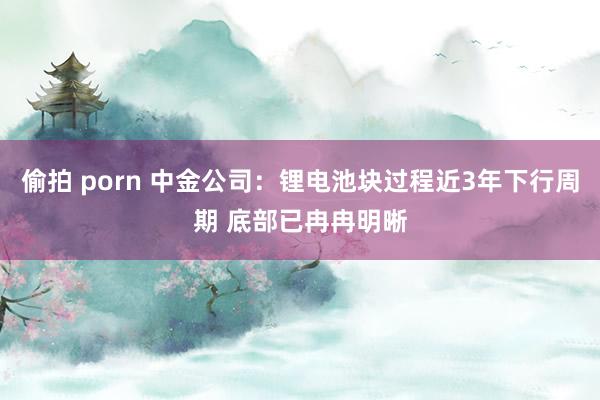 偷拍 porn 中金公司：锂电池块过程近3年下行周期 底部已冉冉明晰