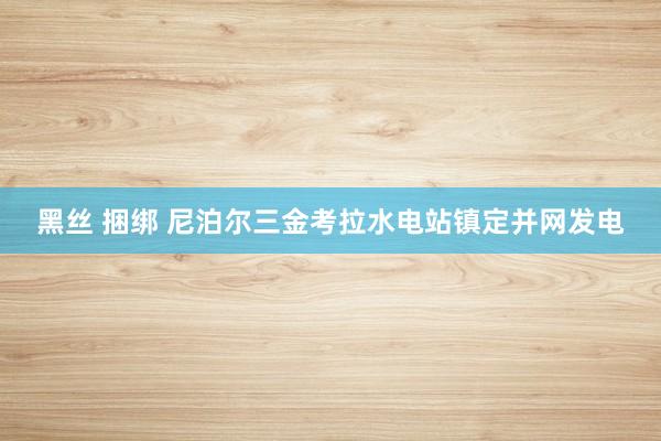 黑丝 捆绑 尼泊尔三金考拉水电站镇定并网发电